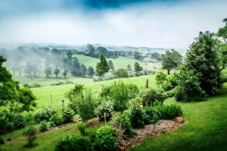 Second view of Homely other listing, 113 Old Coramba South Road, Dorrigo NSW 2453