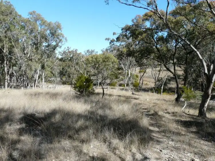 Seventh view of Homely rural property listing, 126 Bruxner Highway, Tenterfield NSW 2372