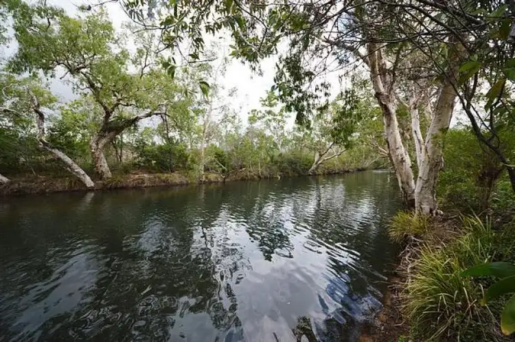 Third view of Homely house listing, 340 Forestry Road, Bluewater QLD 4818