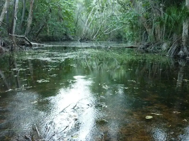 Main view of Homely rural property listing, 938 Woodstock Giru Road, Mount Surround QLD 4809