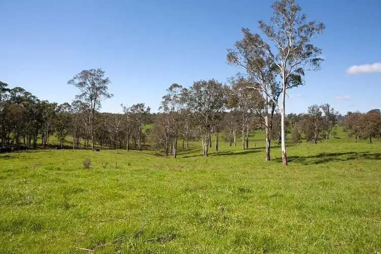 Seventh view of Homely rural property listing, Tyringham, Tyringham NSW 2453