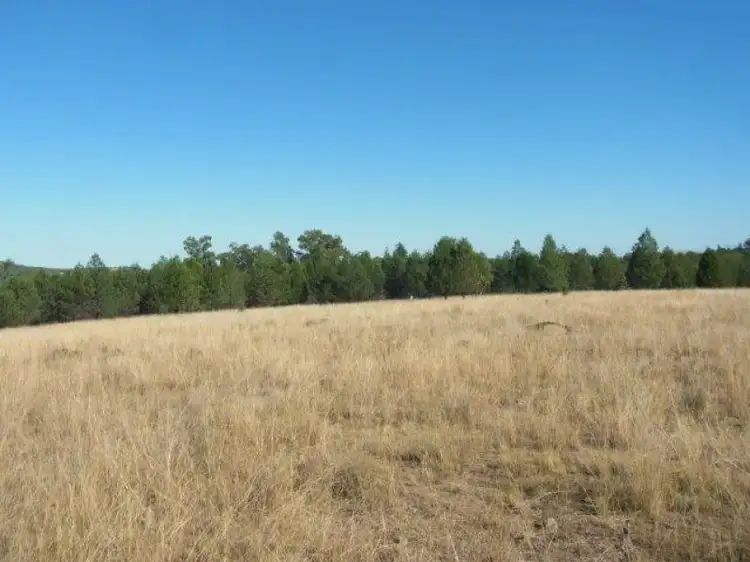 Sixth view of Homely rural property listing, Lot 11 Luna Road, Inglewood QLD 4387