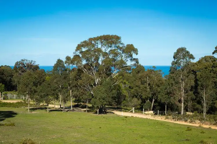 Main view of Homely land listing, Lot 9611 Shirley Lane, Wallagoot NSW 2550