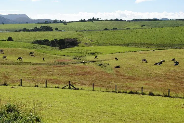 Third view of Homely land listing, 5 Cofton Close, Dorrigo NSW 2453