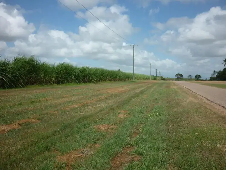 Third view of Homely rural property listing, 43 Jack Road, Brandon QLD 4808