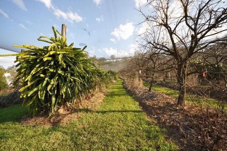 Fourth view of Homely rural property listing, Lot 43 Mighell Road, Yarrahapinni NSW 2441