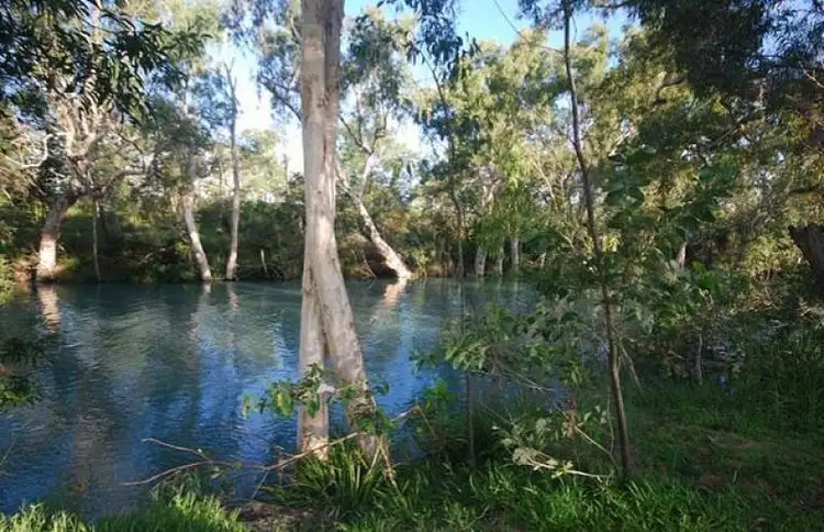 Second view of Homely house listing, 426 Forestry  Road, Bluewater QLD 4818