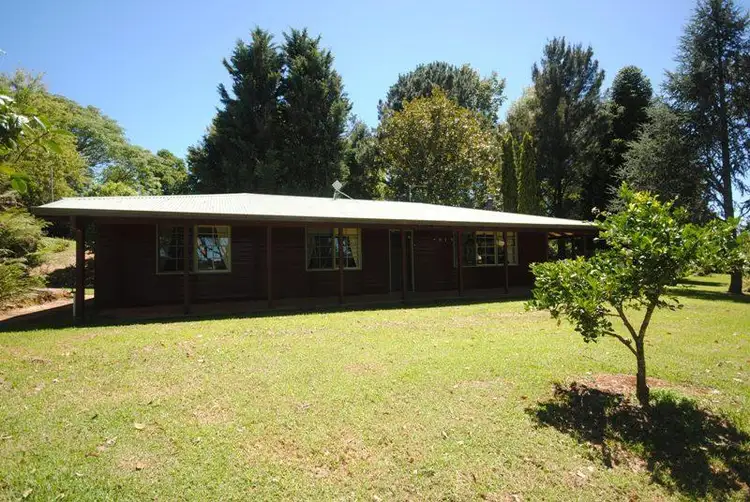 Second view of Homely house listing, 19 Elm Avenue, Dorrigo NSW 2453