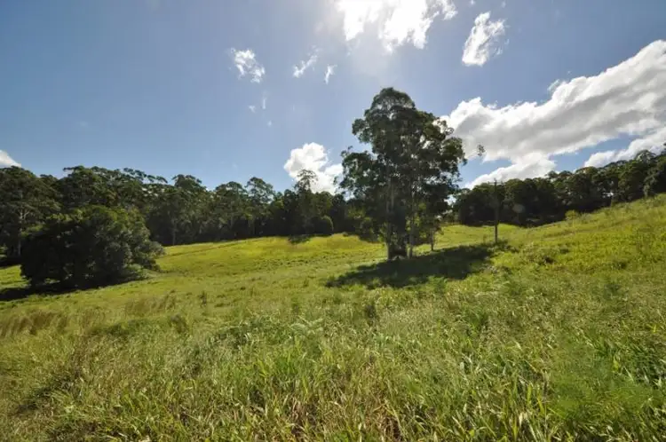 Fourth view of Homely rural property listing, 183 Soldier Settlers Road, Newee Creek NSW 2447