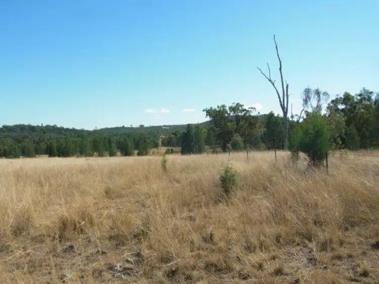 Seventh view of Homely rural property listing, Lot 11 Luna Road, Inglewood QLD 4387