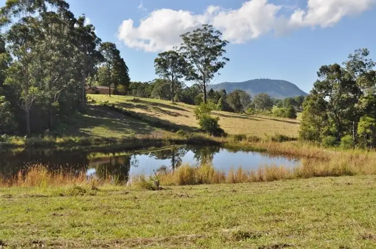 65 Little Tamban Road, Eungai Creek NSW 2441