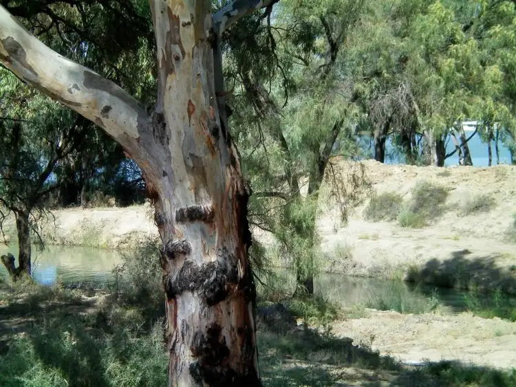 Second view of Homely land listing, 2 Carbone Court, Buronga NSW 2739