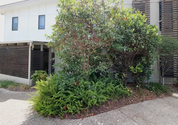 Second view of Homely unit listing, U12/13-15 Eastern Court, Mount Coolum QLD 4573