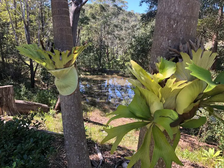 Third view of Homely house listing, 120 Sudholz Road, Verrierdale QLD 4562