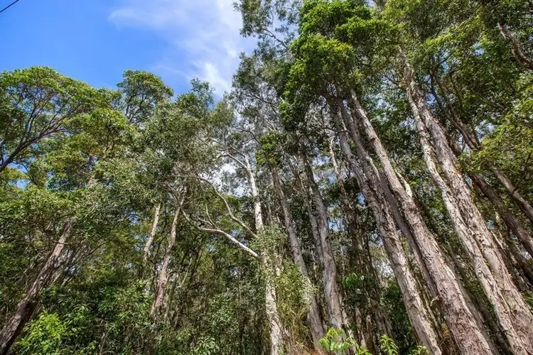 Fourth view of Homely land listing, 122 Nojoor Road, Mudjimba QLD 4564