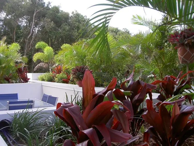 Seventh view of Homely unit listing, U4105/27 Boardwalk Boulevard, Mount Coolum QLD 4573
