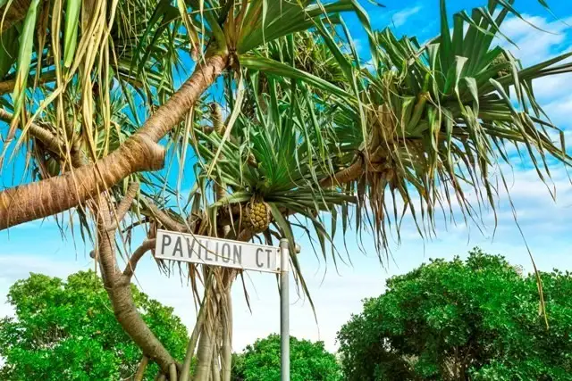 Third view of Homely house listing, 8 Pavilion Court, Mudjimba QLD 4564