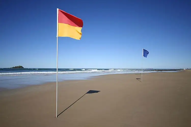 Fourth view of Homely house listing, 4 Sassifras Street, Mudjimba QLD 4564