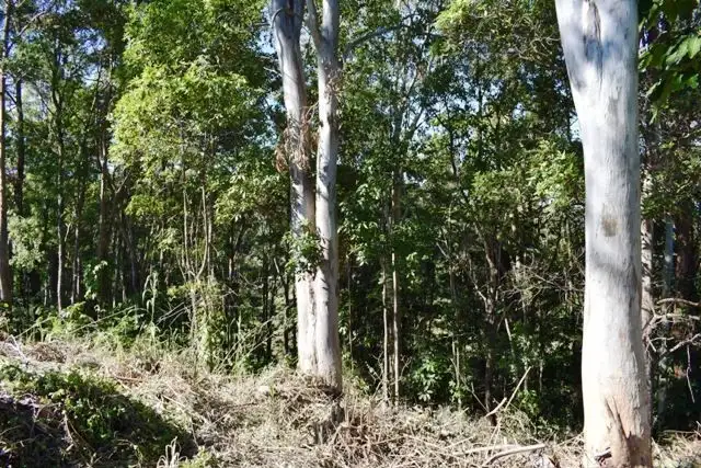 Fourth view of Homely land listing, 11 Lyra Court, Bli Bli QLD 4560