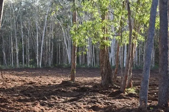 Sixth view of Homely land listing, 122 Nojoor Road, Mudjimba QLD 4564