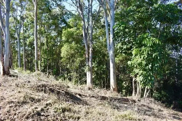 Fifth view of Homely land listing, 11 Lyra Court, Bli Bli QLD 4560