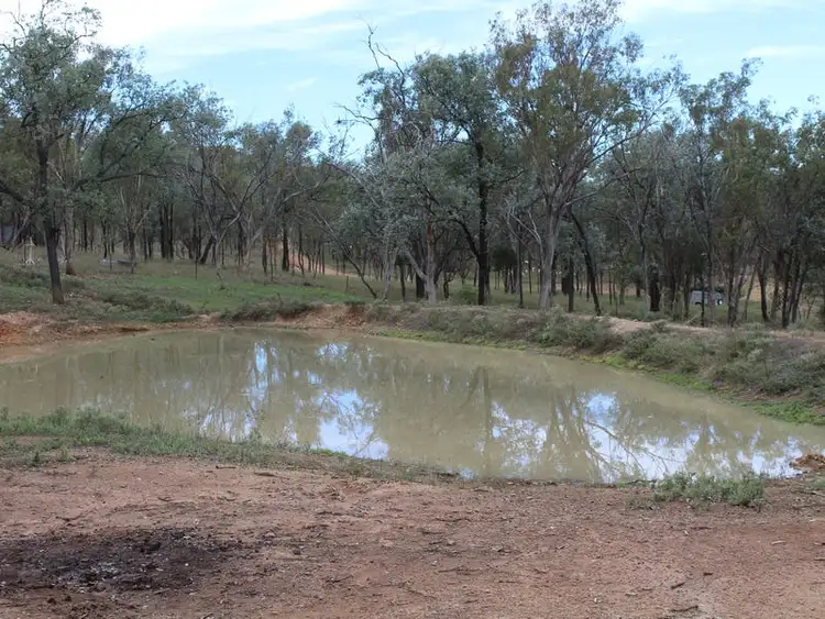 Sixth view of Homely rural property listing, 450 Pinnacle Road, Glenlyon QLD 4380