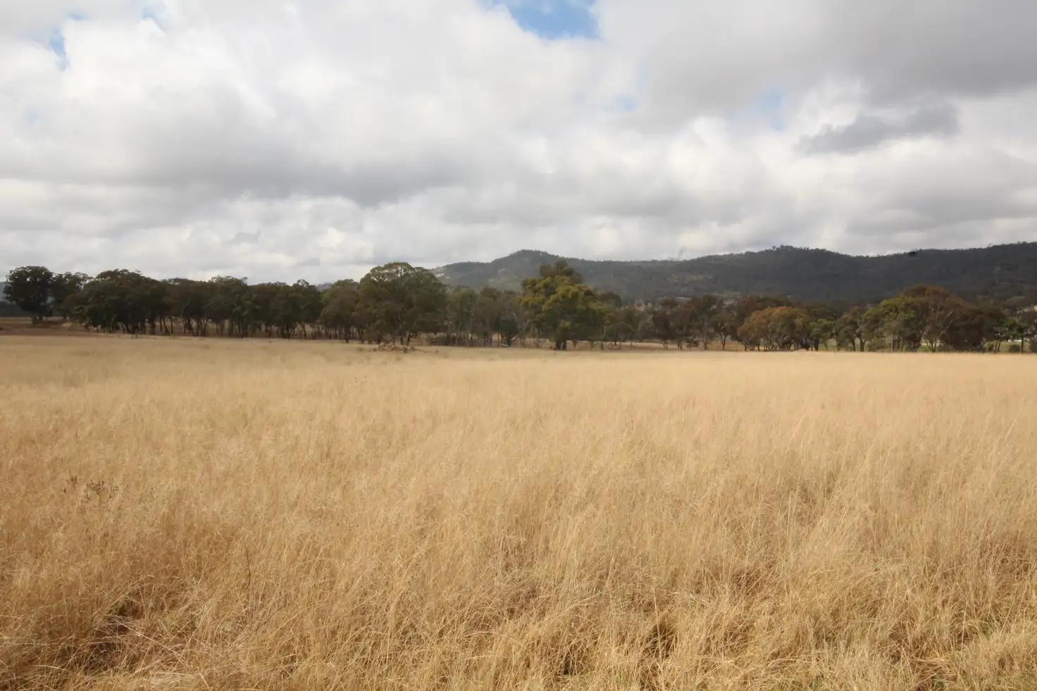 Main view of Homely house listing, 12 Savina Lane, Glen Aplin QLD 4381