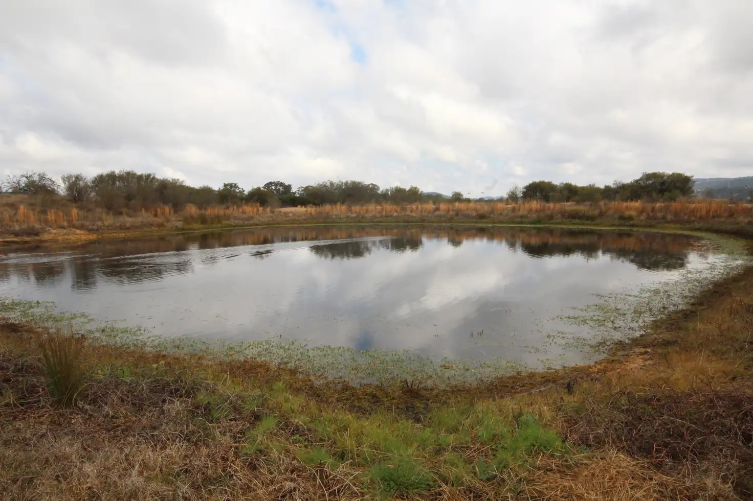 Main view of Homely house listing, 108 Back Creek Rd, Glen Aplin QLD 4381