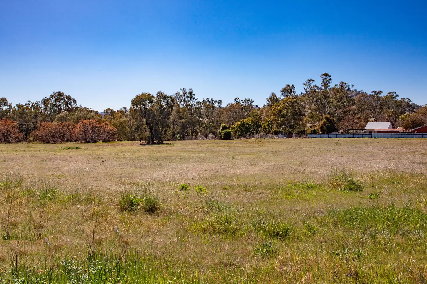 Main view of Homely land listing, 4 Pierce St, Wellington NSW 2820