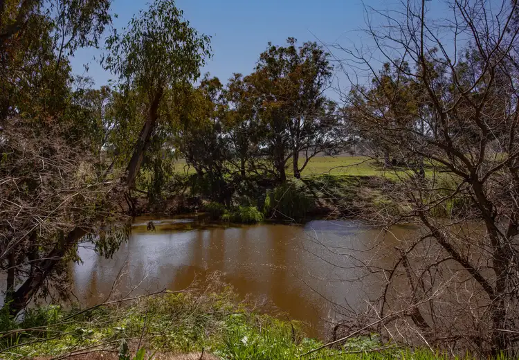 Third view of Homely land listing, 4 Pierce St, Wellington NSW 2820
