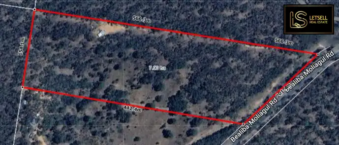 Second view of Homely rural property listing, 171 Bealiba-Moliagul Rd, Bealiba VIC 3475