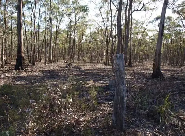 Fourth view of Homely rural property listing, 171 Bealiba-Moliagul Rd, Bealiba VIC 3475