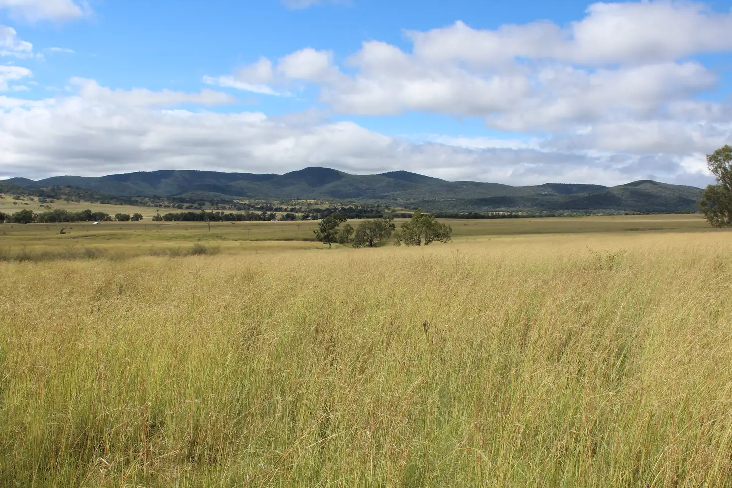 Main view of Homely land listing, Fairbanks Lane, Ballandean QLD 4382
