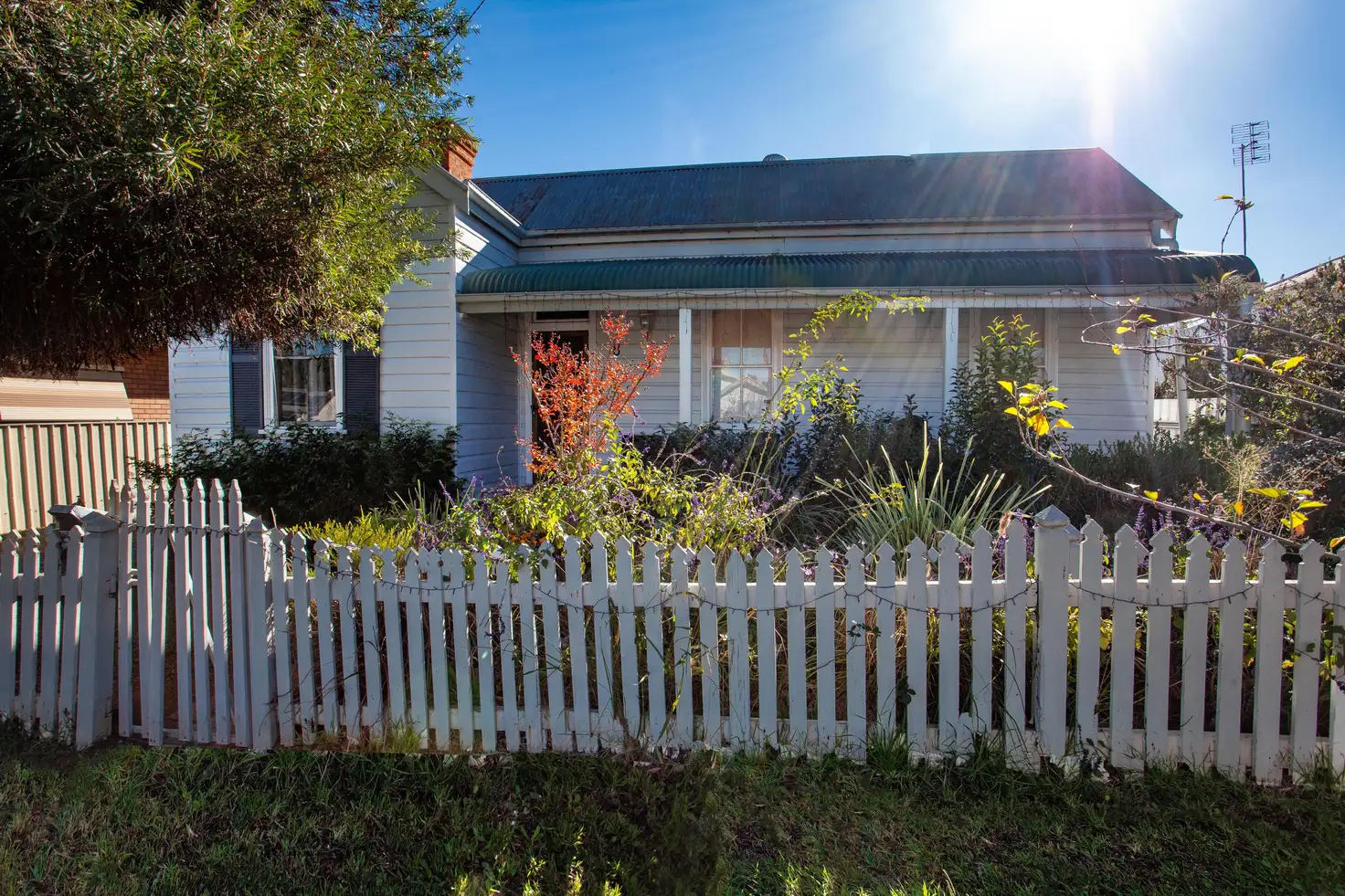 Main view of Homely house listing, 8 Clive St, Wellington NSW 2820