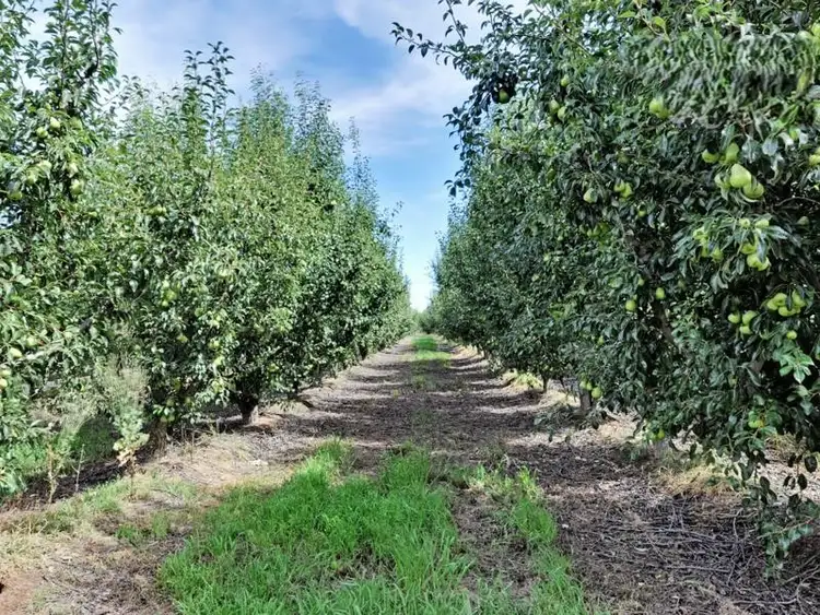 Second view of Homely land listing, 185 Prentice Rd, Orrvale VIC 3631