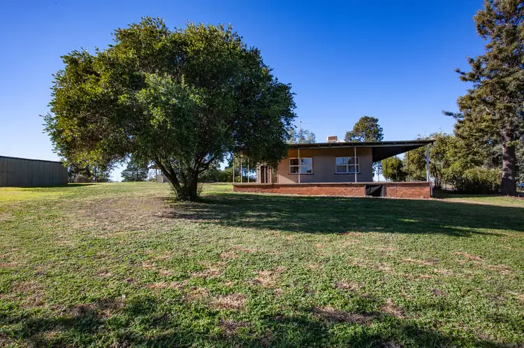 Main view of Homely house listing, 54-56 Hill St, Geurie NSW 2818