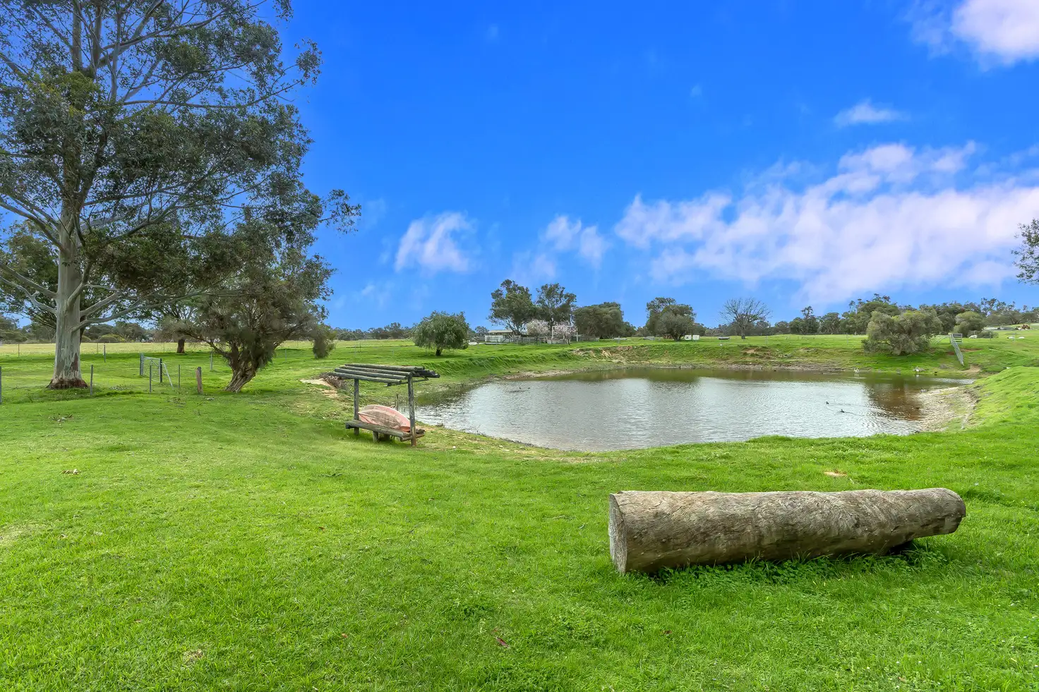 Main view of Homely rural property listing, 664 Nicholson Rd, Forrestdale WA 6112