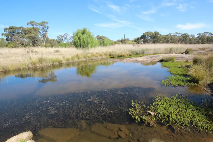 Fifth view of Homely land listing, Lot 1 Stabiles Rd, Severnlea QLD 4380