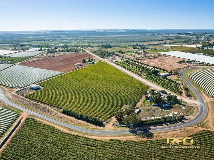 Second view of Homely house listing, 29 Cocklin Ave, Red Cliffs VIC 3496