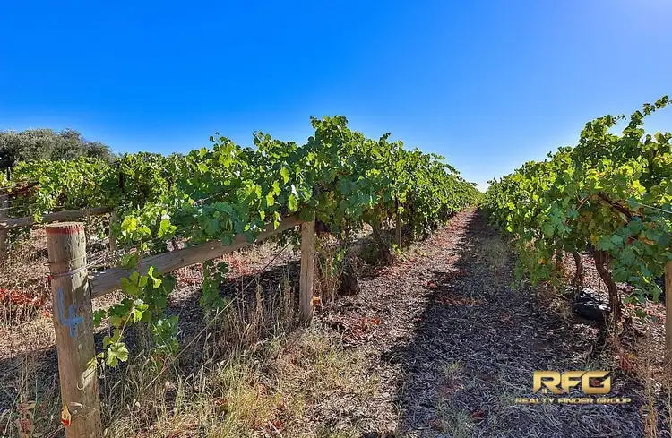 Third view of Homely house listing, 29 Cocklin Ave, Red Cliffs VIC 3496