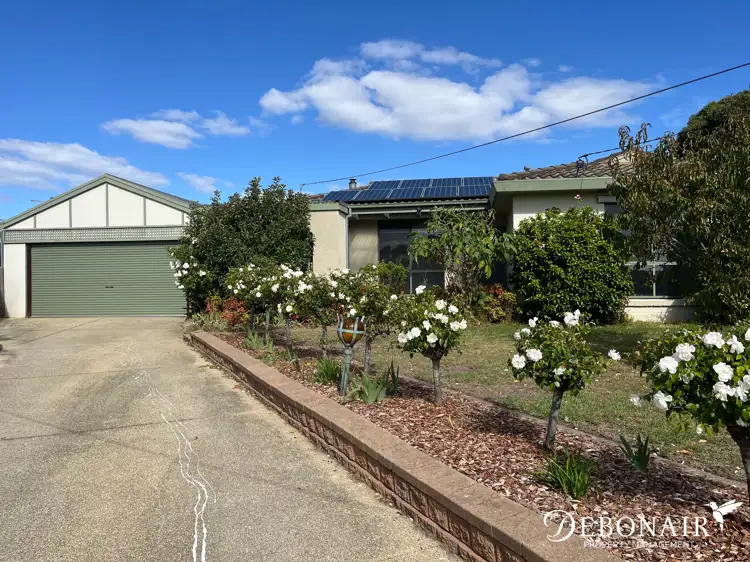 Main view of Homely house listing, 7 Flower Ct, Grovedale VIC 3216