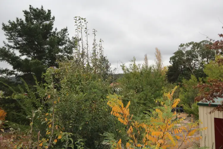 Seventh view of Homely land listing, 37 Lock Street, Stanthorpe QLD 4380