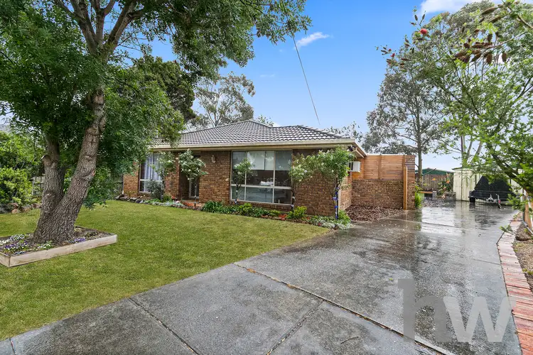 8 Crozier Ct, St Albans Park VIC 3219