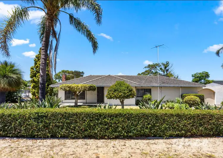 51 Winterfold Rd, Hamilton Hill WA 6163