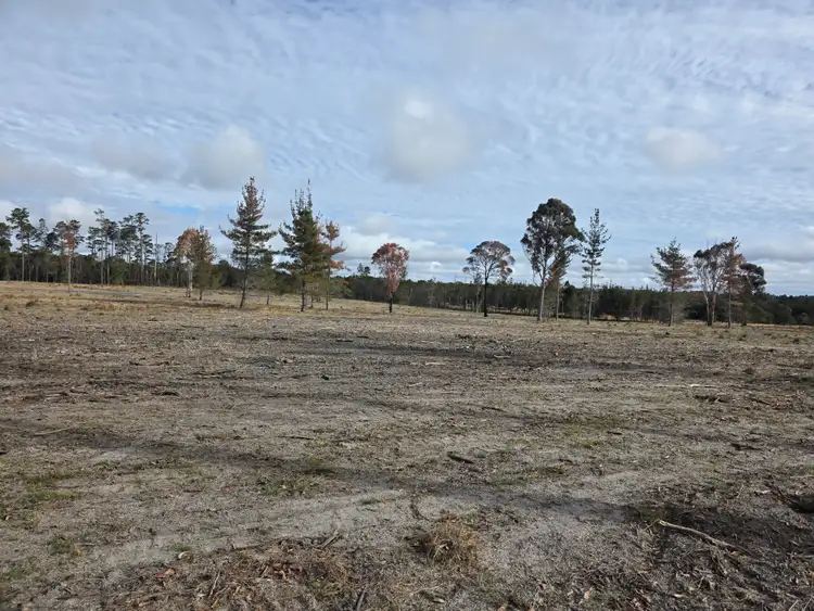 Third view of Homely land listing, Lot 194 Prospect Crescent, Sugarloaf QLD 4380
