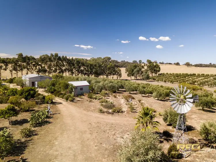 Second view of Homely rural property listing, 3450 Sunraysia Hwy, Stuart Mill VIC 3477