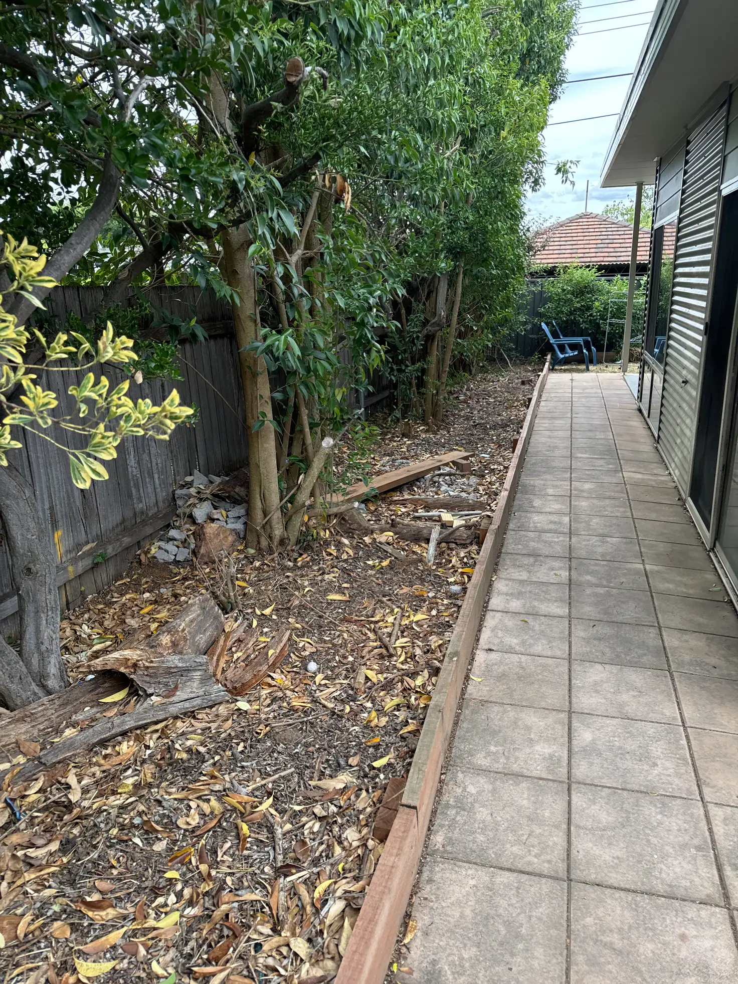 Main view of Homely house listing, 116a Pennefather St, Higgins ACT 2615