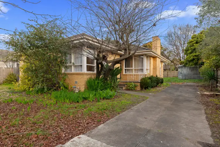 12 Peck St