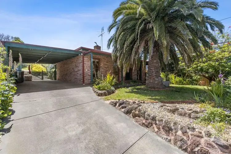 63 Marlin Dr