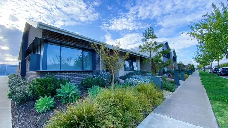 13 Water Fern Grove